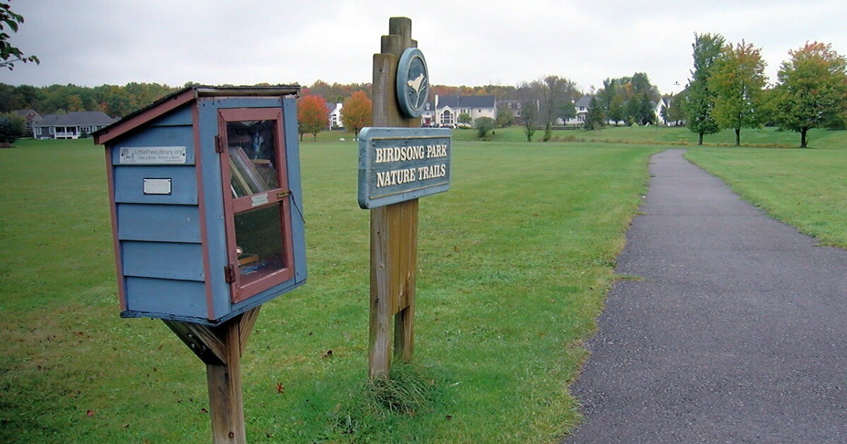 Orchard Park approves trap and kill method to address beavers inhabiting park - Vimarsana News