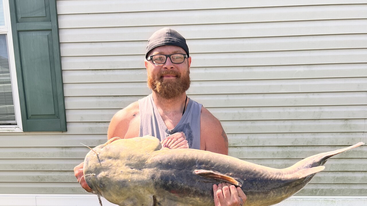 state record flathead catfish