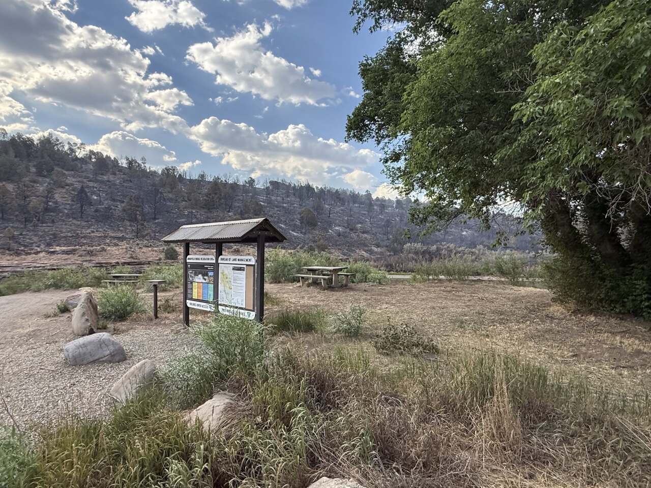 ferris wildfire.jpg