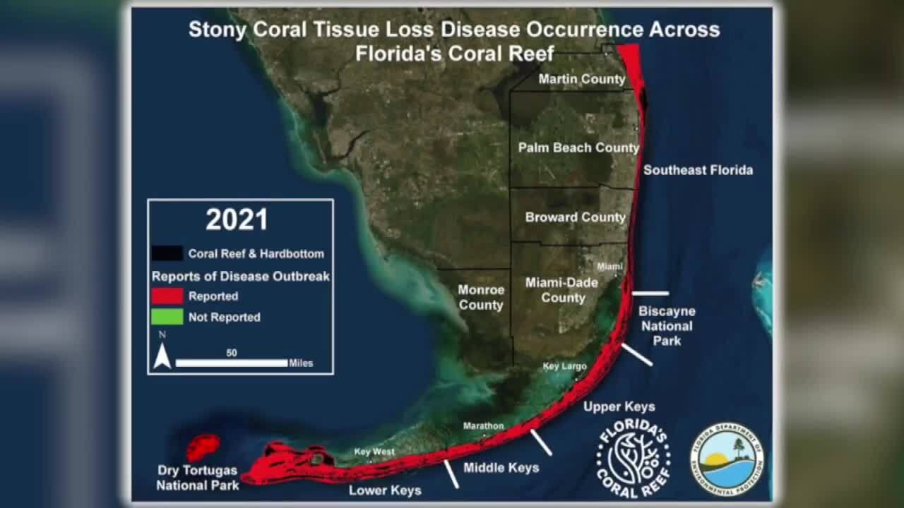 Stony Coral Tissue Loss Disease Florida reef map 2021 data