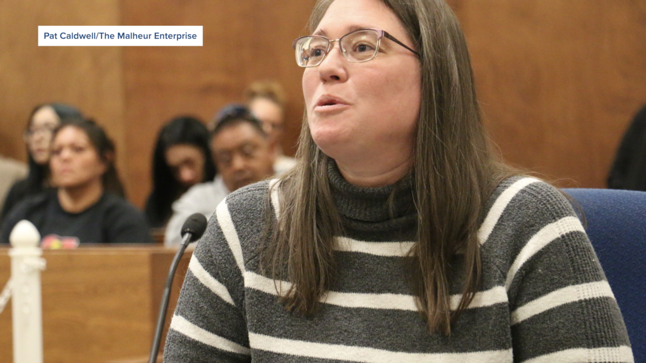 Linda Johnson speaking at Rene Castro's sentencing