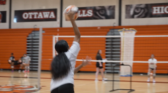 ottawa hills volleyball 3.png