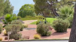 Development projects in east Las Vegas raise concerns about local wildlife
