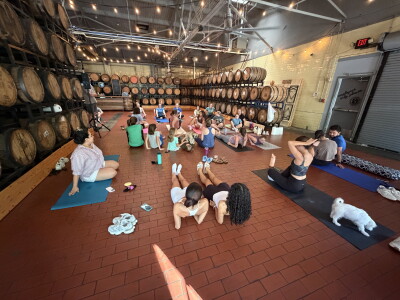 Puppy Yoga at West Sixth Brewing