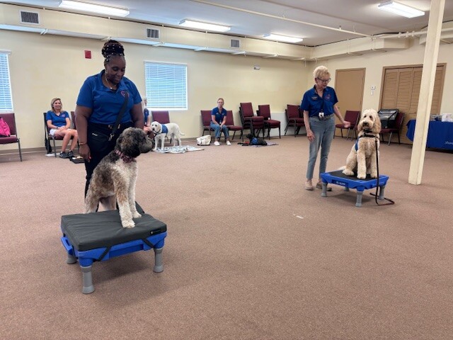 Caring K9s