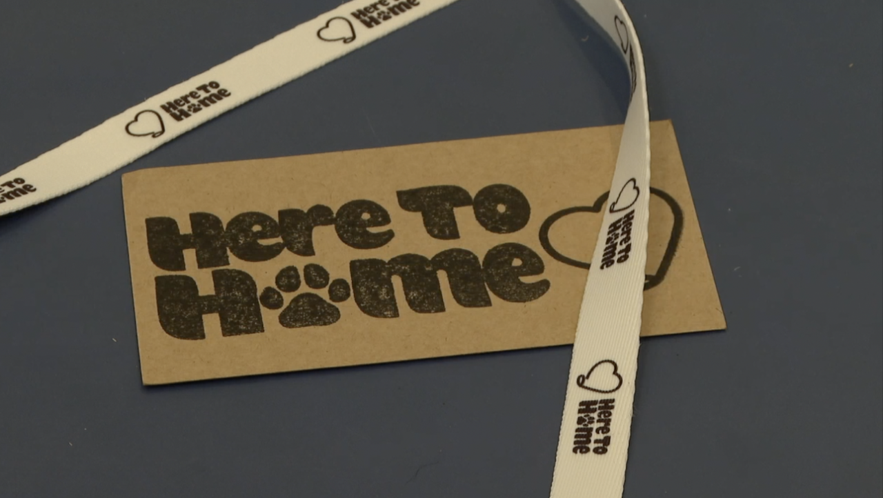 Screenshot 2026-01-16 at 5.09.27 PM.png