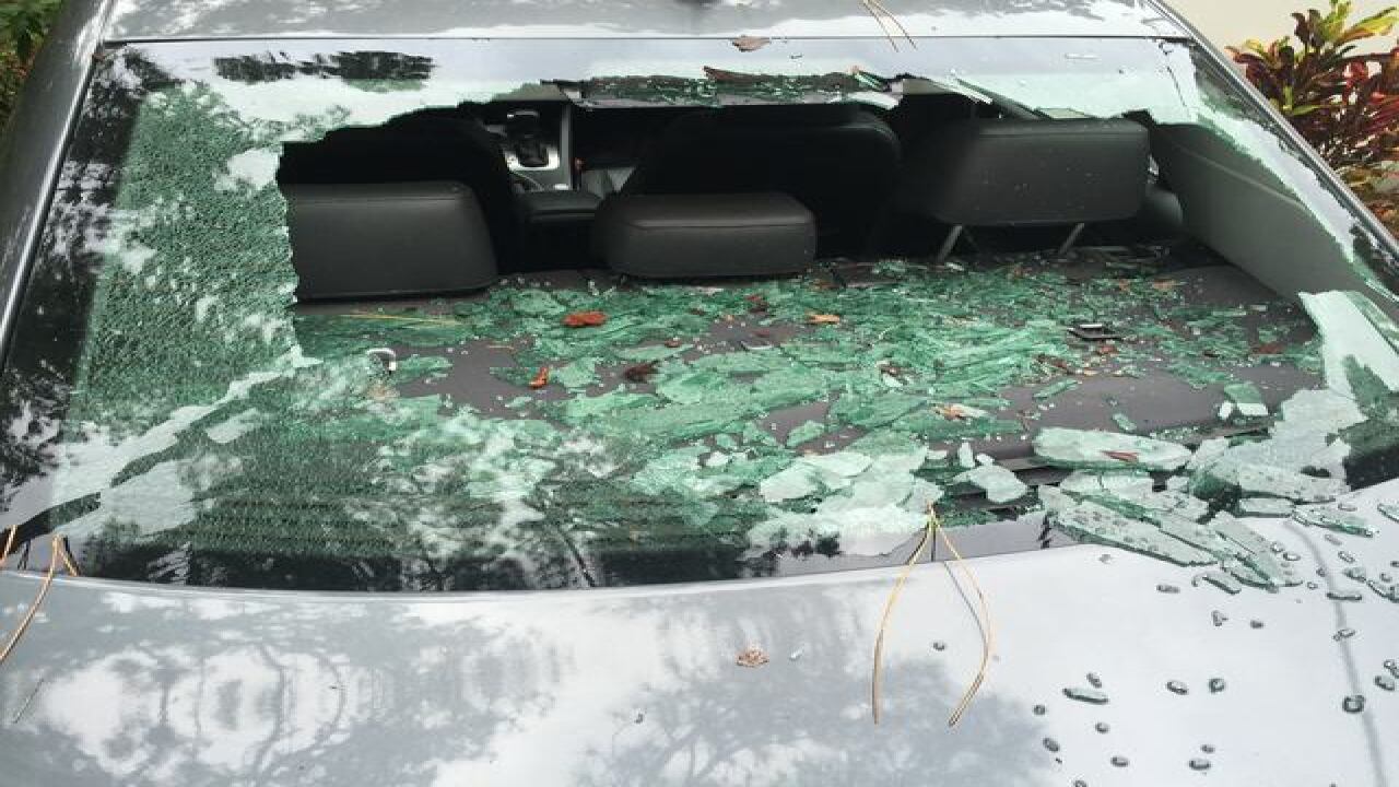 PHOTOS: Tropical Storm Colin hits Tampa Bay