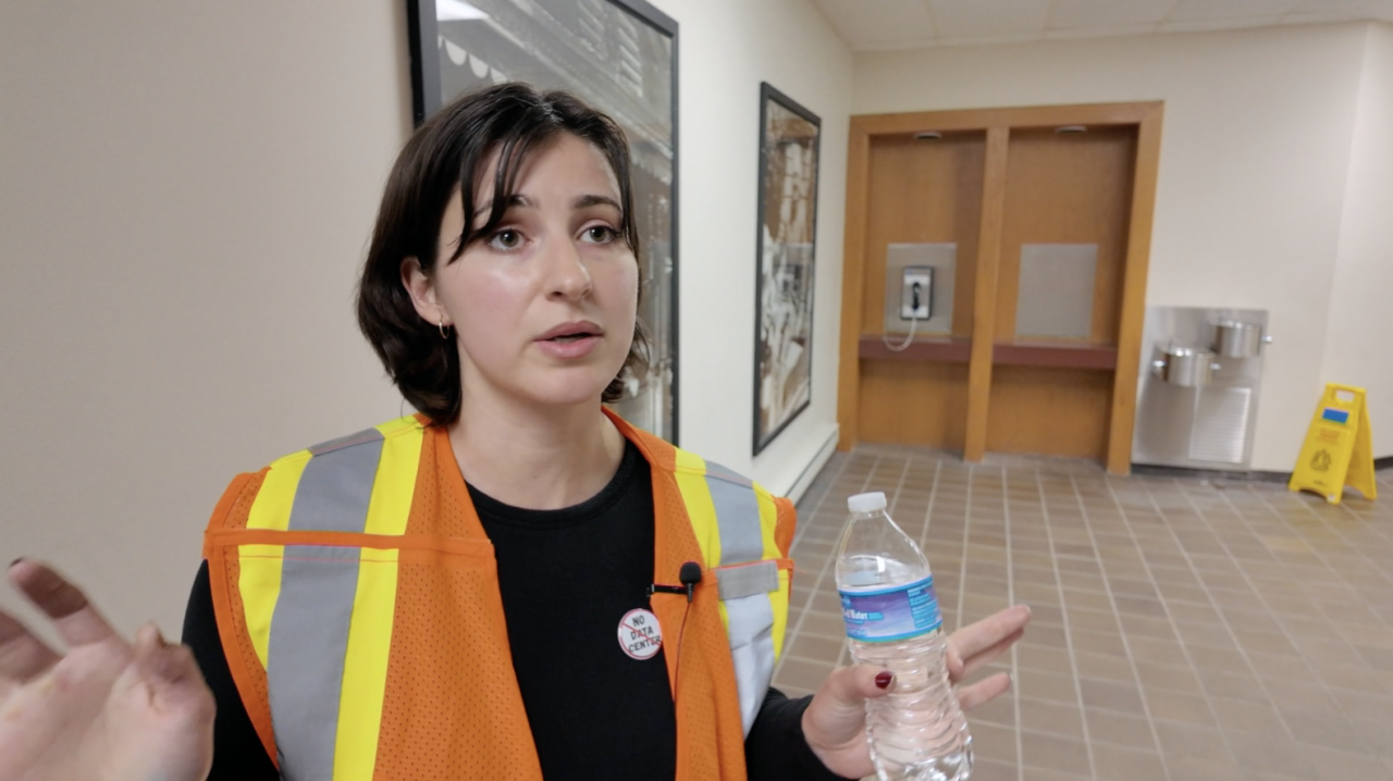 Tsvetina Pavolva.png