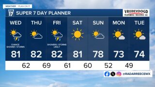 7 day forecast
