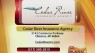 Cedar River Insurance - 12/6/16