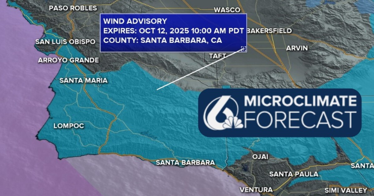 Strong winds and mild temps for the weekend, next week brings heavy rain