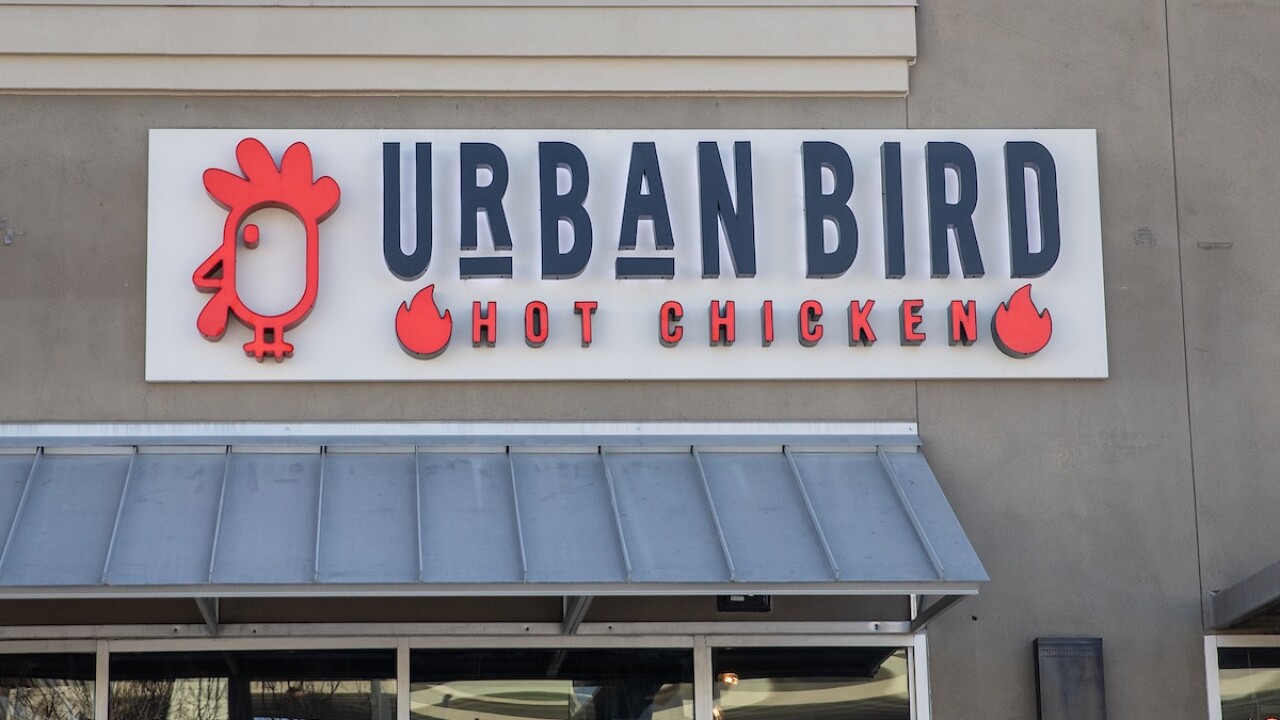 Urban Bird.jpg