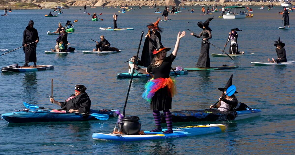Witches and warlocks channeled their Halloween spirit and took over Morro Bay - Vimarsana News