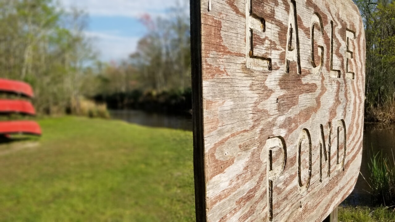 20180304_154234.jpg