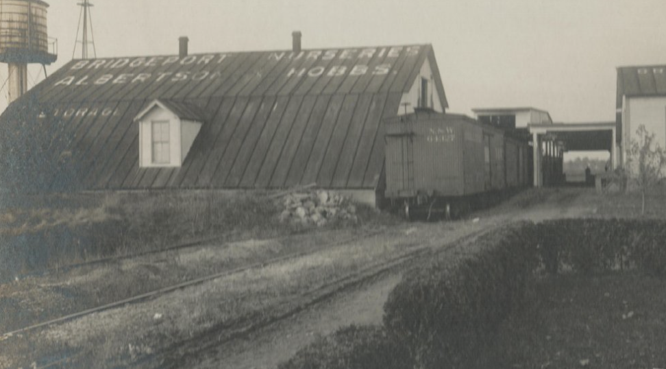 Hobbs Family Nursery