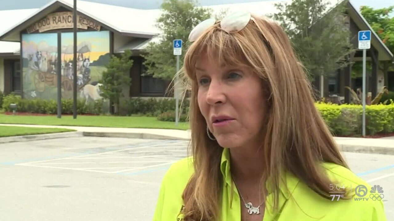 Laurie Simmons, Big Dog Ranch Rescue founder