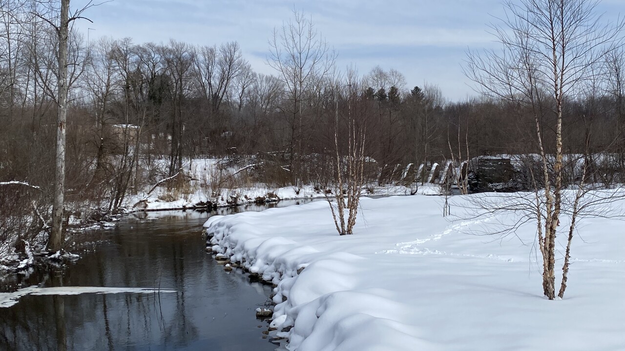 Breedsville Dam 