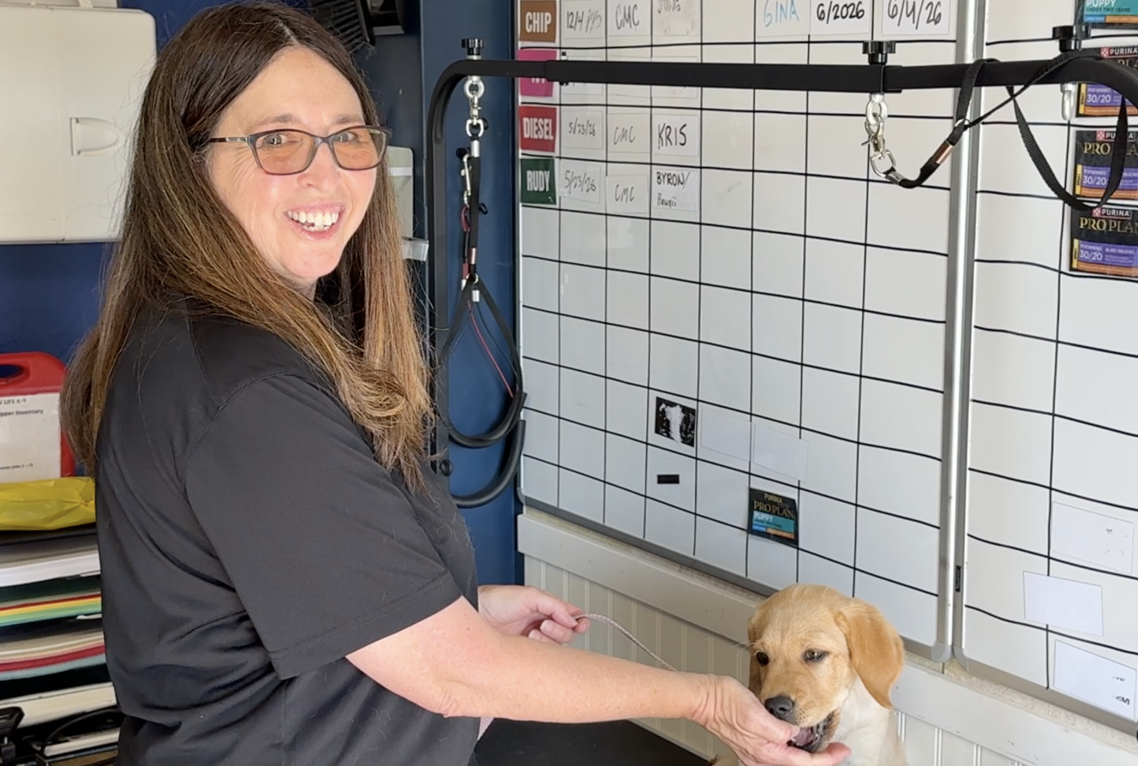 Nicole Roberts is NLK9s Lead Service Trainer.png