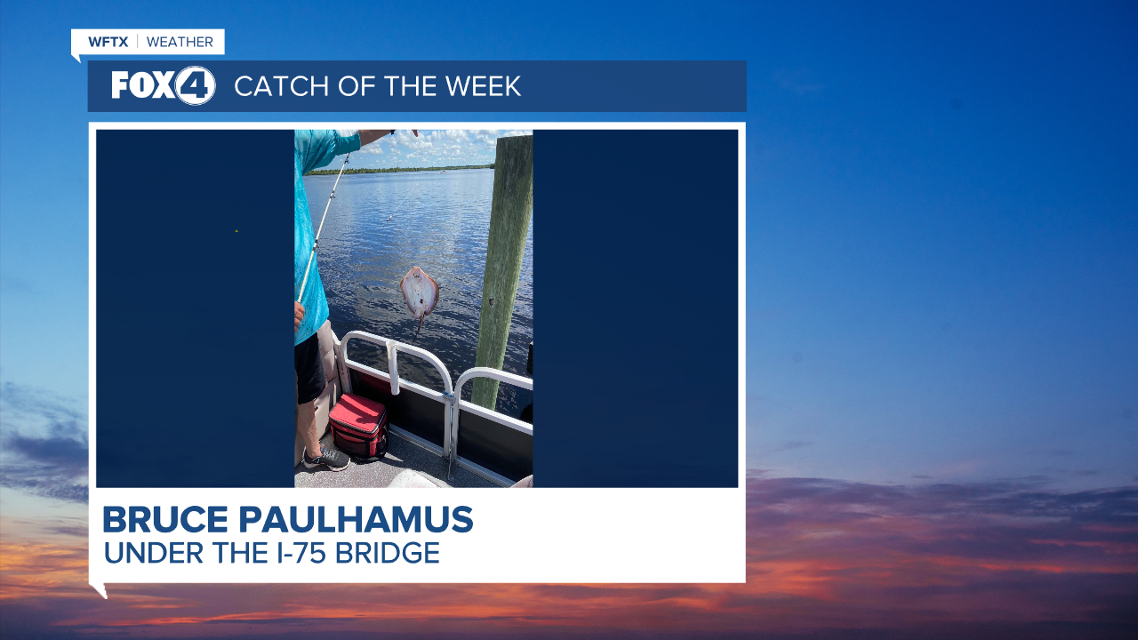 Catch of the Week - Bruce Paulhamas