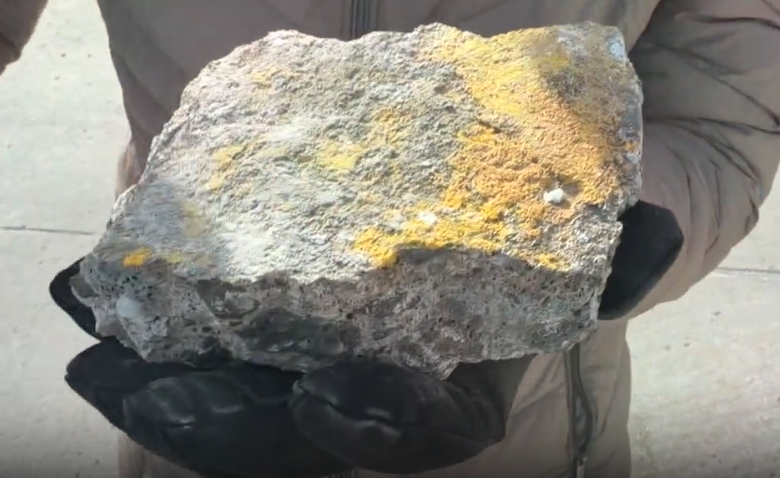 Screenshot 2026-02-19 at 6.05.30 AM.png