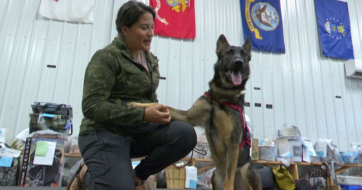 Montana nonprofit helps veterans train shelter dogs to be service dogs