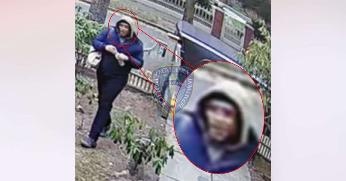 Police search for individual near person of interest in Brown mass ...