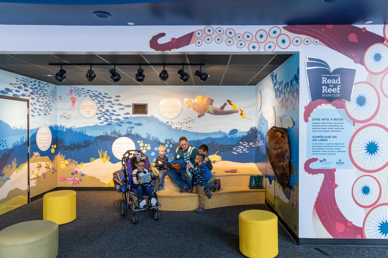 Read To Reef Nook | November 19, 2019