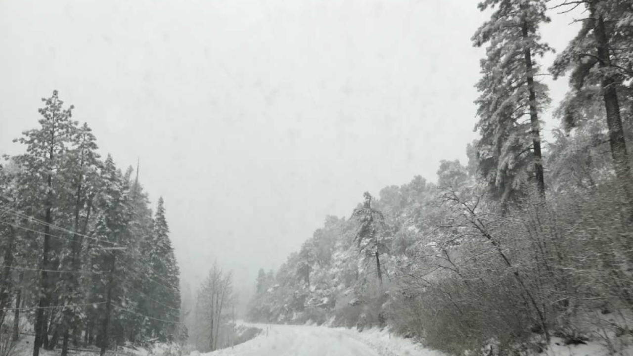 Heavy snowfall at Mount Charleston, Southern Nevada mountains