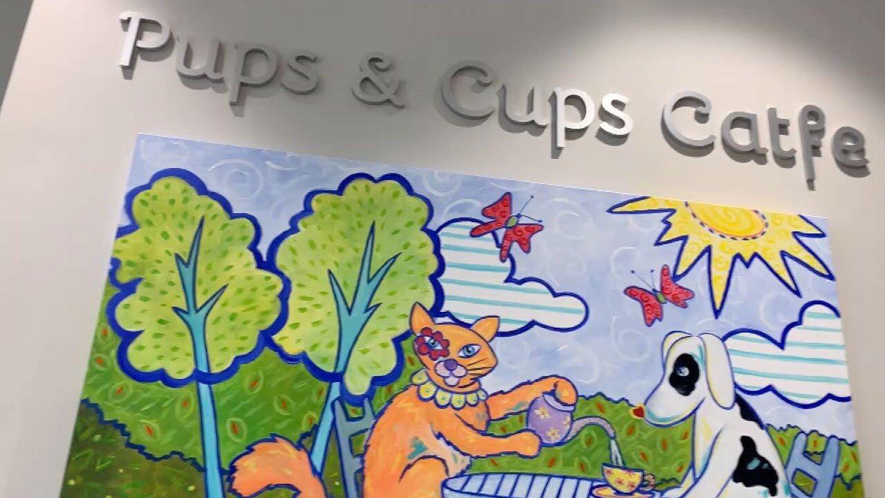 Furry Friends Pups & Cups Cafe in Jupiter