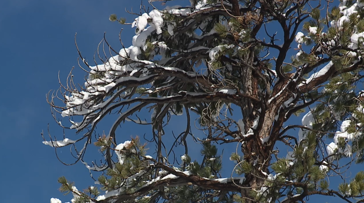 Mt. Charleston, snow in Las Vegas, snowing, winter