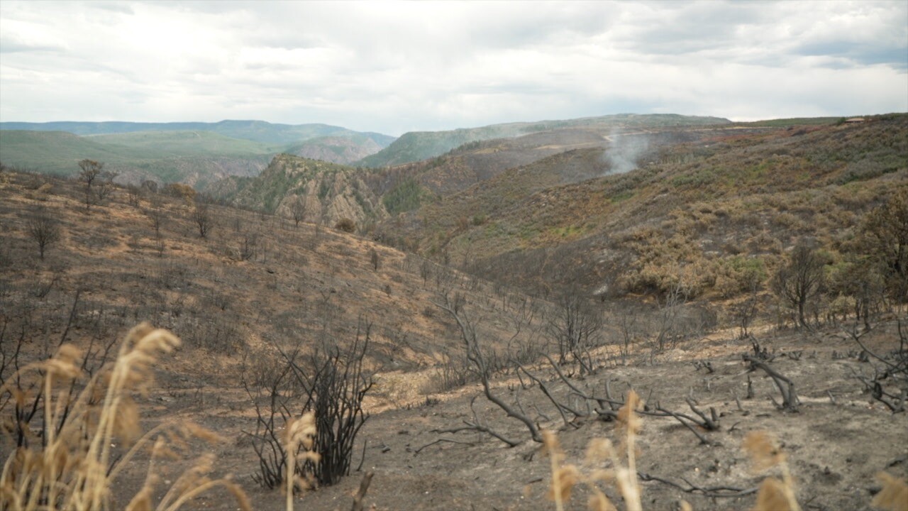 Currently burning south rim fire.jpg