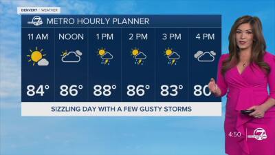 Denver's Hourly Planner for Thursday