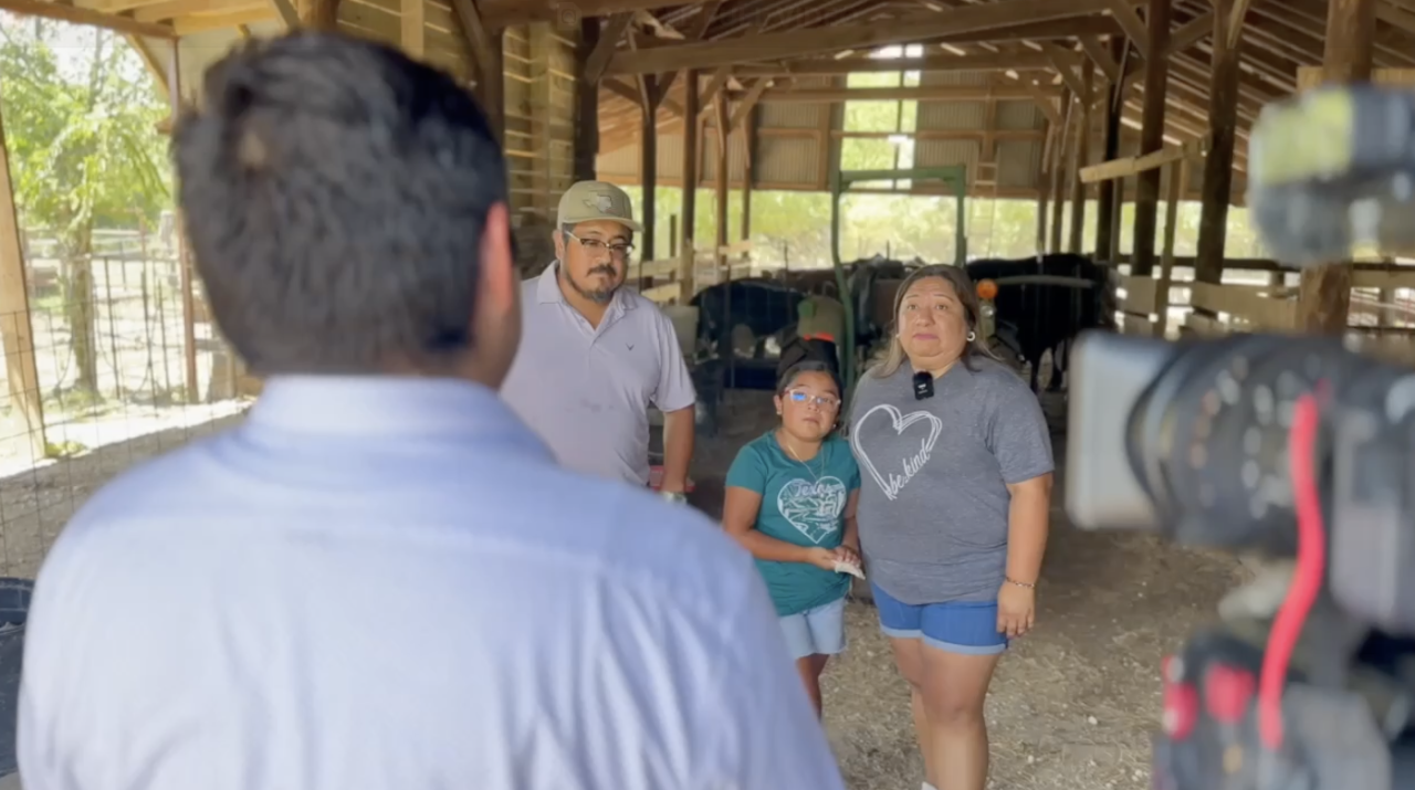 Cattle theft devastates Calvert family, highlights growing crime trend across Central Texas