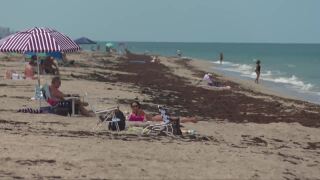 Jensen Beach