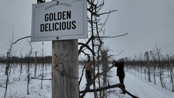 Screenshot 2026-02-05 at 5.09.59 PM.png