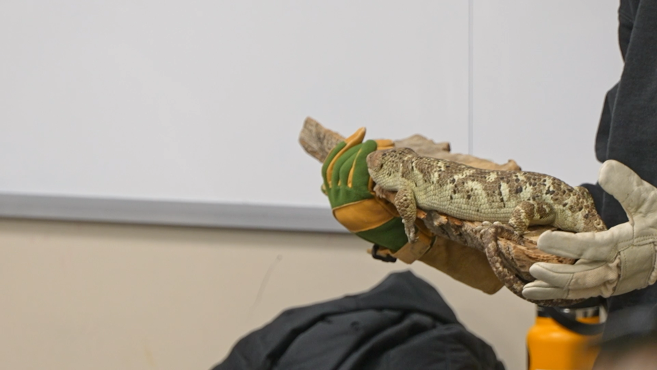 Rocky Vista medical students learn about wildlife