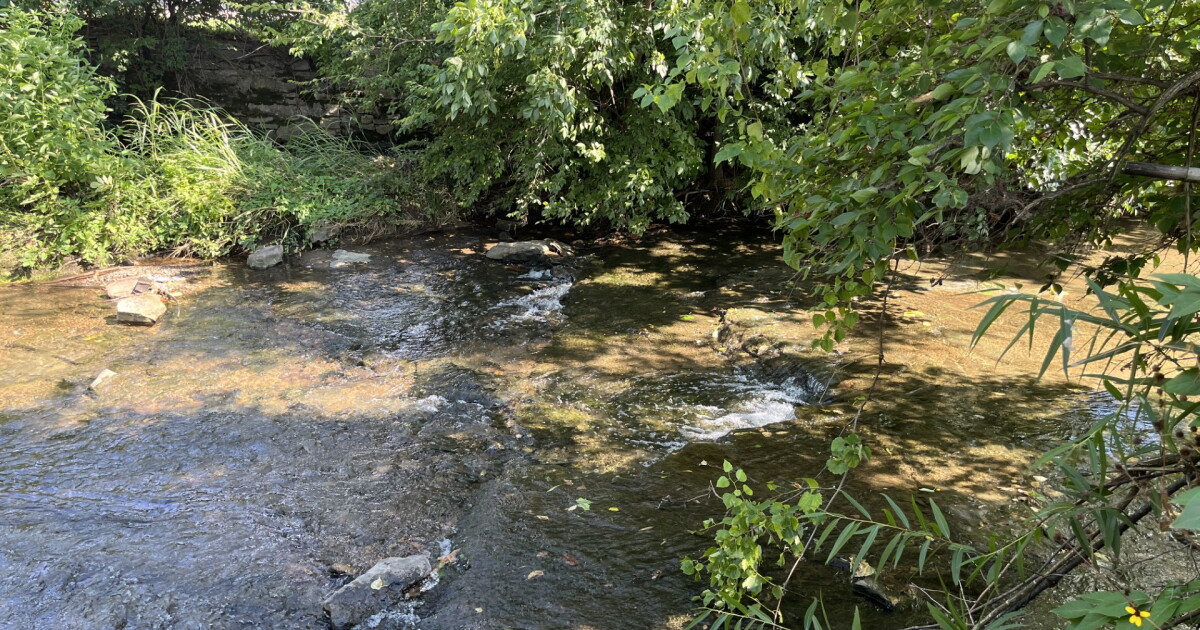 After seven years, DNA may help identify human remains found in Browns Creek - Vimarsana News