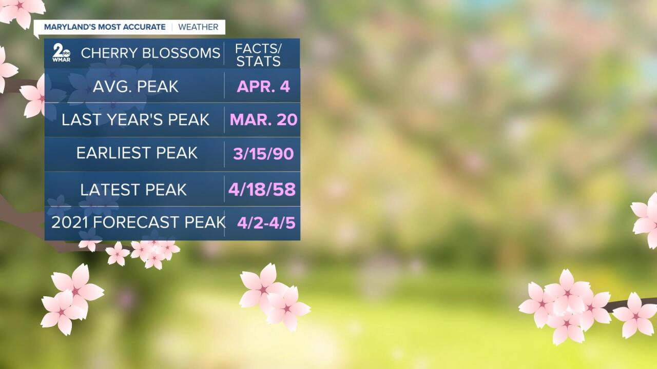 Cherry Blossom Stats.jpg