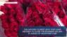 Will there be a Valentine's Day flower shortage?