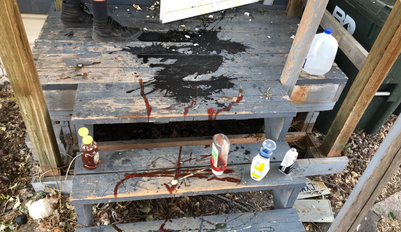 stevi vandalsim4.jpeg