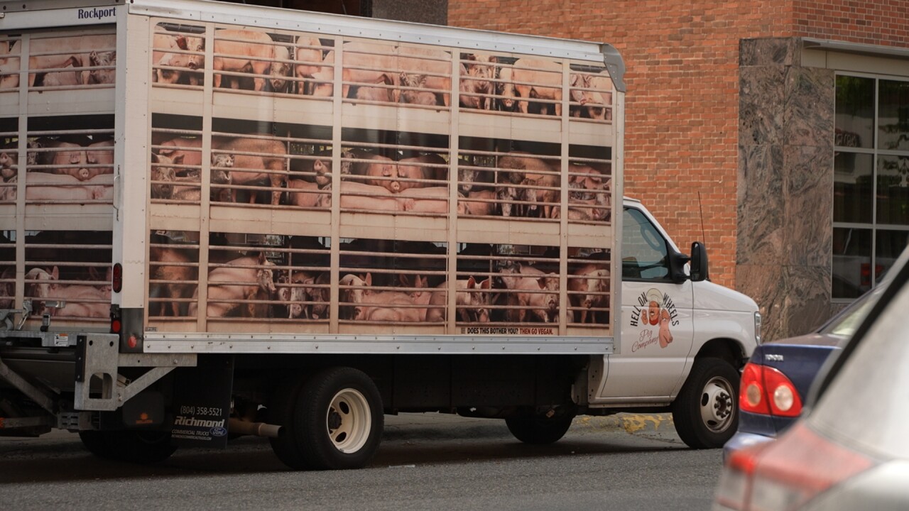 Support pours in for Billings restaurant as PETA holds 'Hell on Wheels' demonstration