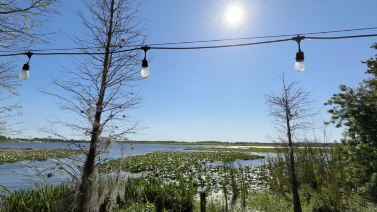 lake bonny.png