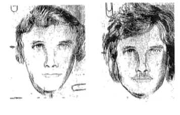 benjamin carrier composite suspects.png