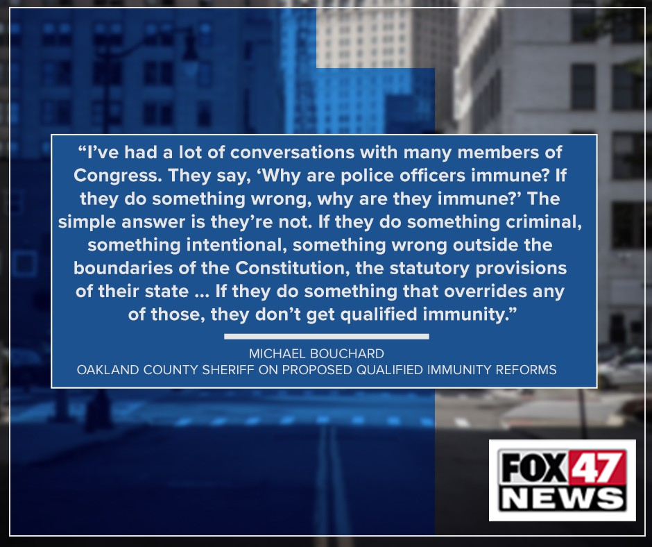 Comments by Michael Bouchard on qualified immunity