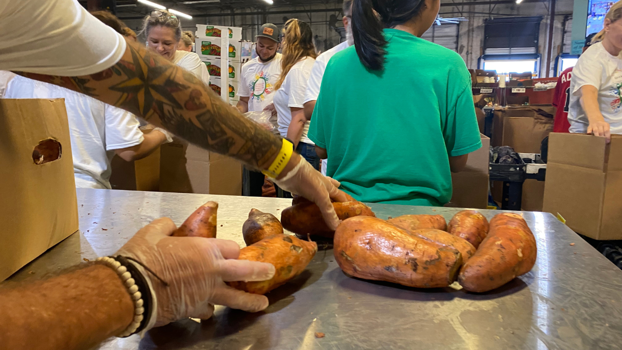 Feeding Tampa Bay.png