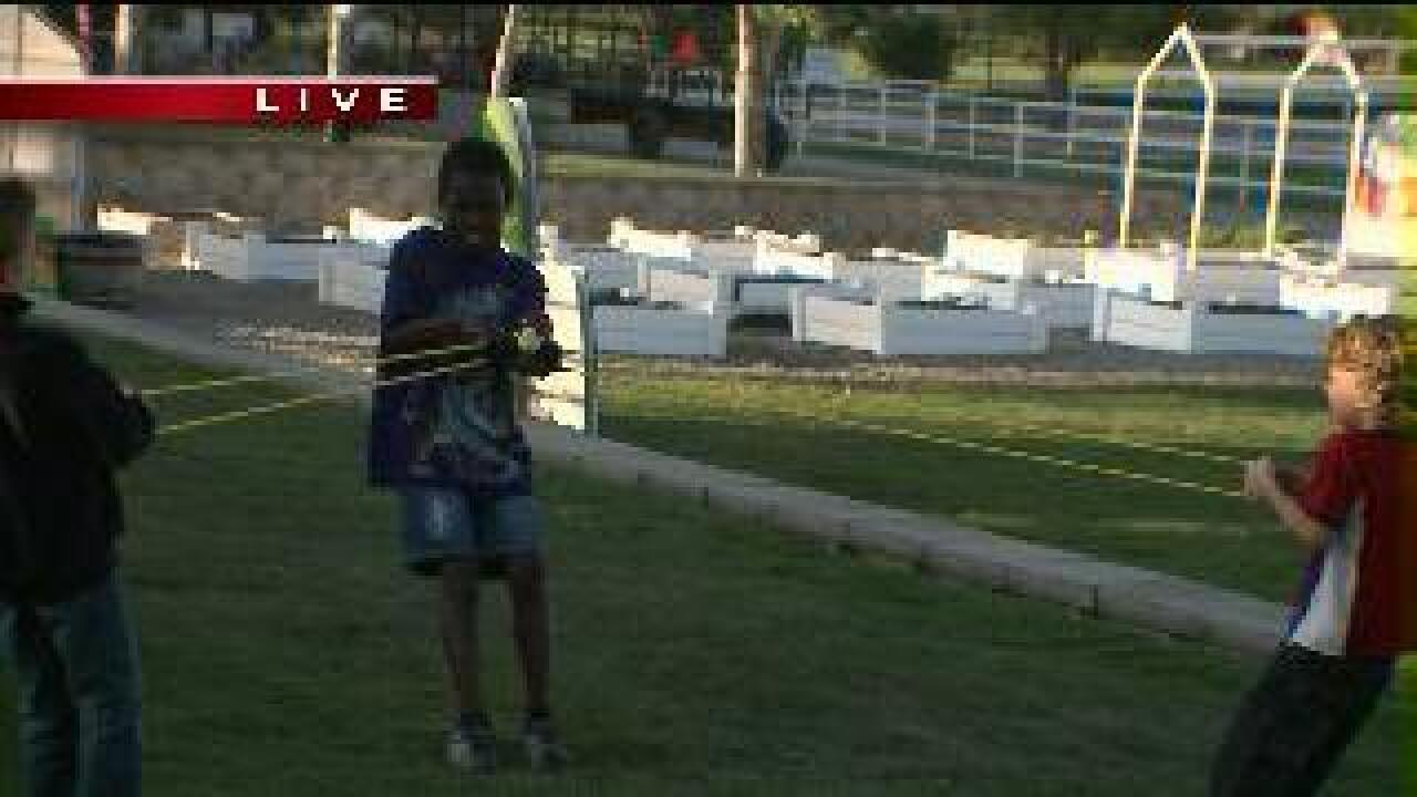 Summer camp brings ‘Angry Birds’ game to life