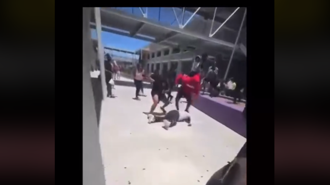 Video captures Florida high school student's head being slammed on concrete