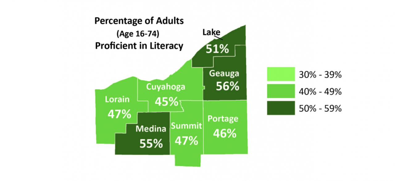 Literacy Rates NEO