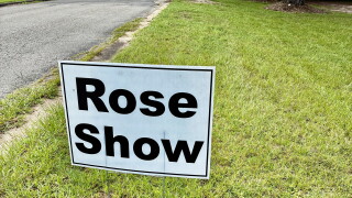 The Tallahassee Area Rose Society is bringing its Autumn Roses Show to Monticello for the first time this Saturday.