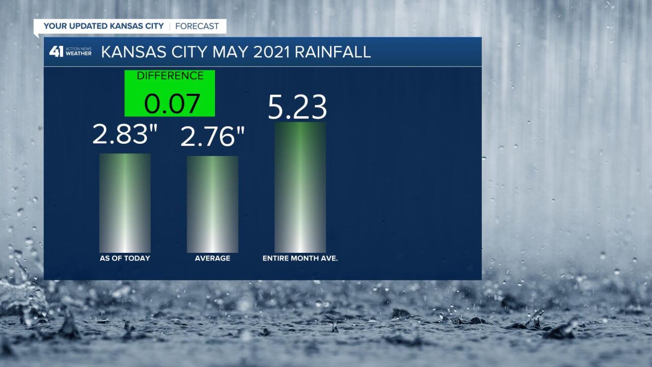 Rainfall This Month